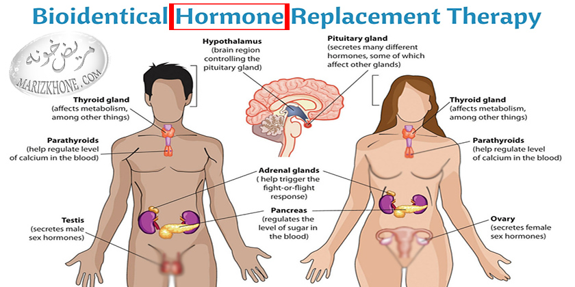 افزایش هورمون تستوسترون در مردان