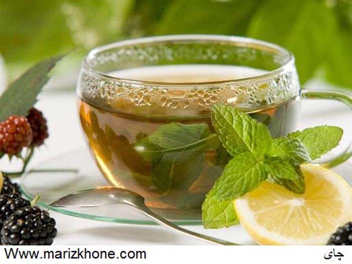 Camellia sinensis L,چای سبز,چای,Theaceae,Green tea,چاي,چاي سبز,چاي سياه,مريض خونه1490,وبسايت تخصصي اطلاعات پزشکي مريض خونه,Www.marizkhone (1)