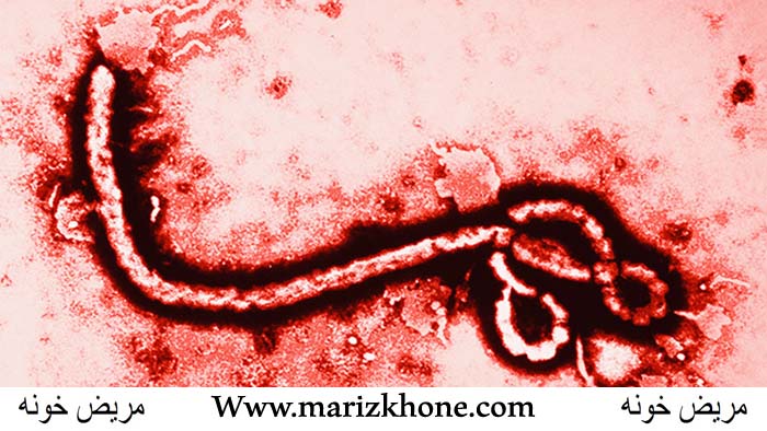 مريض خونه,درمان بيماري,ابولا,بيماري ابولا,راه هاي پيشگيري,بيماران,ويروس ابولا,Ebloa,virus ebola,marizkhone,Www.marizkhone.com