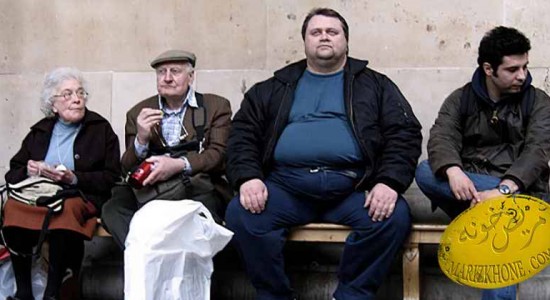 چاقی-عوامل موثر در بروز چاقی-محیط و رابطه ی ان با چاقی
