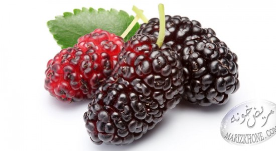 خواص دارويي شاه توت/Black mulberry,Black mulberry-mulberry-Morus nigra-شاه توت-خواص دارويي شاه توت-توت شامي-سيانين-ماده رنگين-اسيد سوکسينيک-ويتامين هاي-مريض خونه-بيمارستان-marizkhone- Aو C-تانن-مواد پکتيني-سقز-بالکان-ملين-اسيد سيتريک-صابون