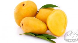 خواص دارويي انبه/Mango,Mango-خواص دارويي انبه-انبه-مانگو-اسيد بنزوئيک-اسيد سيتريک-پروتئين-اسيد گاليک-درمان بواسير-گرم مزاجان-مغز هسته انبه-طب قديم ايران-خونريزي از رحم-گل انبه-هضم انبهخواص دارويي انبه/Mango,Mango-خواص دارويي انبه-انبه-مانگو-اسيد بنزوئيک-اسيد سيتريک-پروتئين-اسيد گاليک-درمان بواسير-گرم مزاجان-مغز هسته انبه-طب قديم ايران-خونريزي از رحم-گل انبه-هضم انبه
