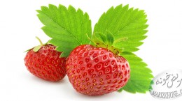 خواص دارويي توت فرنگي/Strawberry,Strawberry-مریض خونه-بیمارستان-marizkhone-توت فرنگي-Fragaria Vesca-گل سرخ-ضد اسهال-خواص دارويي توت فرنگي-افسردگي-تانن-افزايش سلامت قلب-تمشک-توت سفيد-پاک کننده روده و مثانه-الاژيک اسيد-آنتوسيانين-آنتي اکسيدان-عملکرد سيستم قلبي – عروقي-التهاب مفاصل-يبوست-فسفر-لبنيات کم چرب-سرطان-ويتامين A-خون سازي-ويتامين B-عصبانيت-ترميم شکستگي استخوان ها-ويتامين C