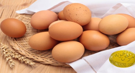 ابتلا به بیماری سالمونلوز با خوردن تخم مرغ محلی-میکروارگانیسم‌ها-دکتر آراسب دباغ‌ مقدم متخصص بهداشت-مسمومیت سالمونلایی