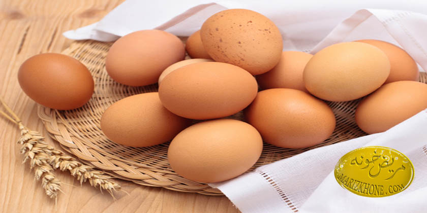 ابتلا به بیماری سالمونلوز با خوردن تخم مرغ محلی-میکروارگانیسم‌ها-دکتر آراسب دباغ‌ مقدم متخصص بهداشت-مسمومیت سالمونلایی
