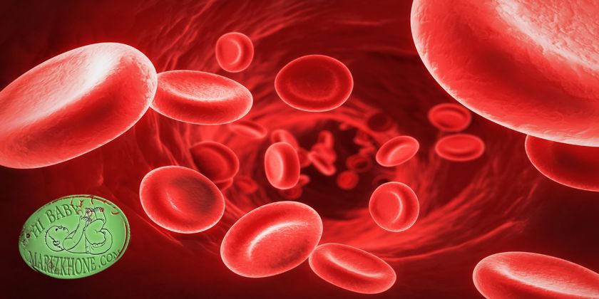 علت تجویز گلبول قرمز متراکم برای رفع اختلال همودینامیک ,علت ابتلا به عفونتهای خونی,نحوه اصلاح اکسیژناسیون,Packed Red Cell, رفع اختلال همودینامیک,پلاکت خون