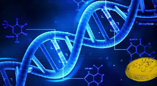 رشته های DNA