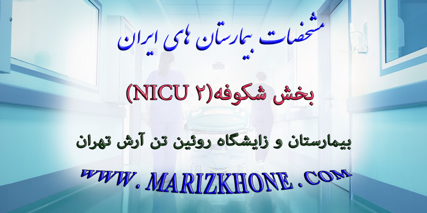 خدمات بخش شکوفه۲ NICU بیمارستان و زایشگاه روئین تن آرش تهران